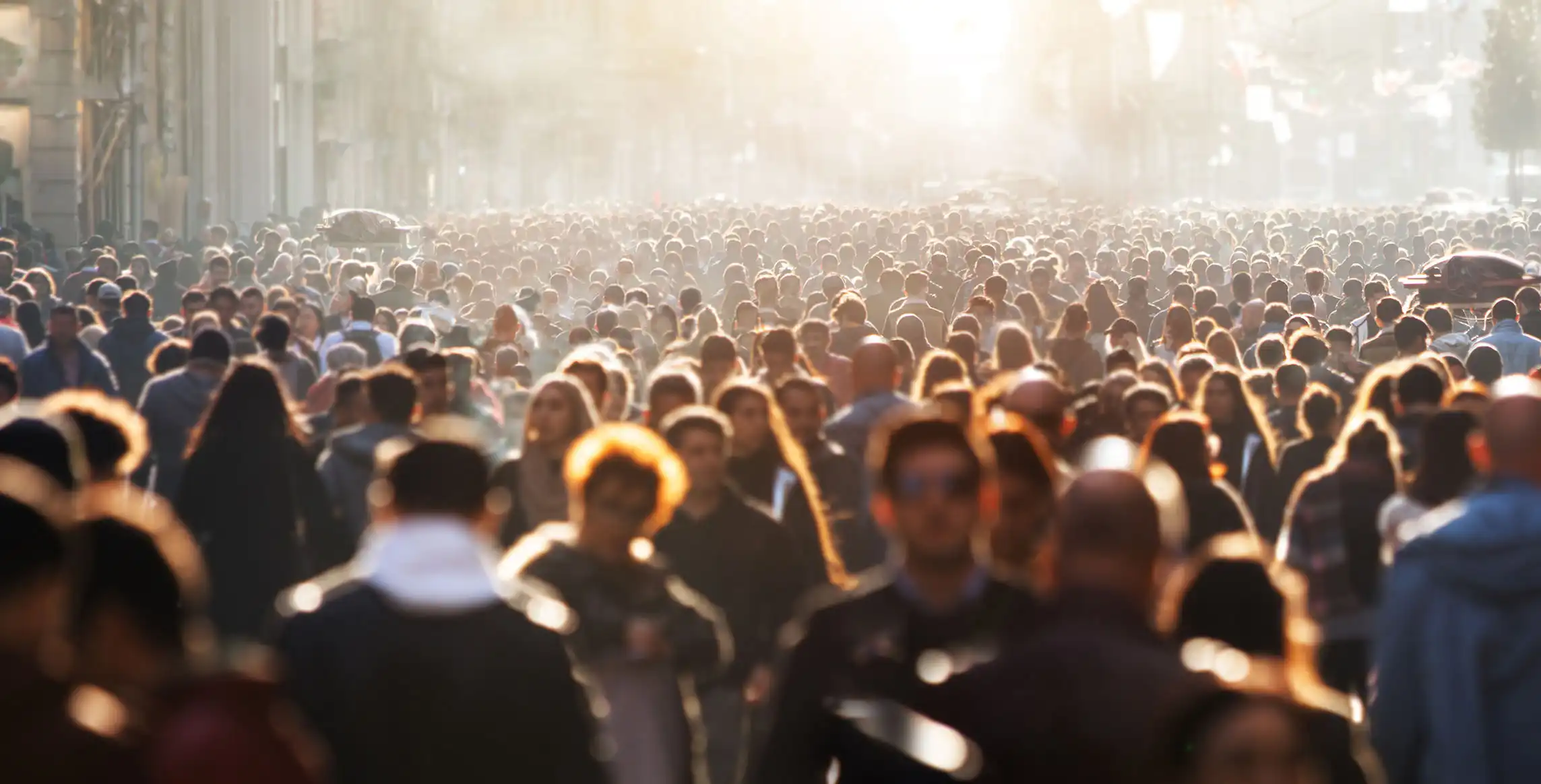 A crowd of people walking through the city in the evening sun.